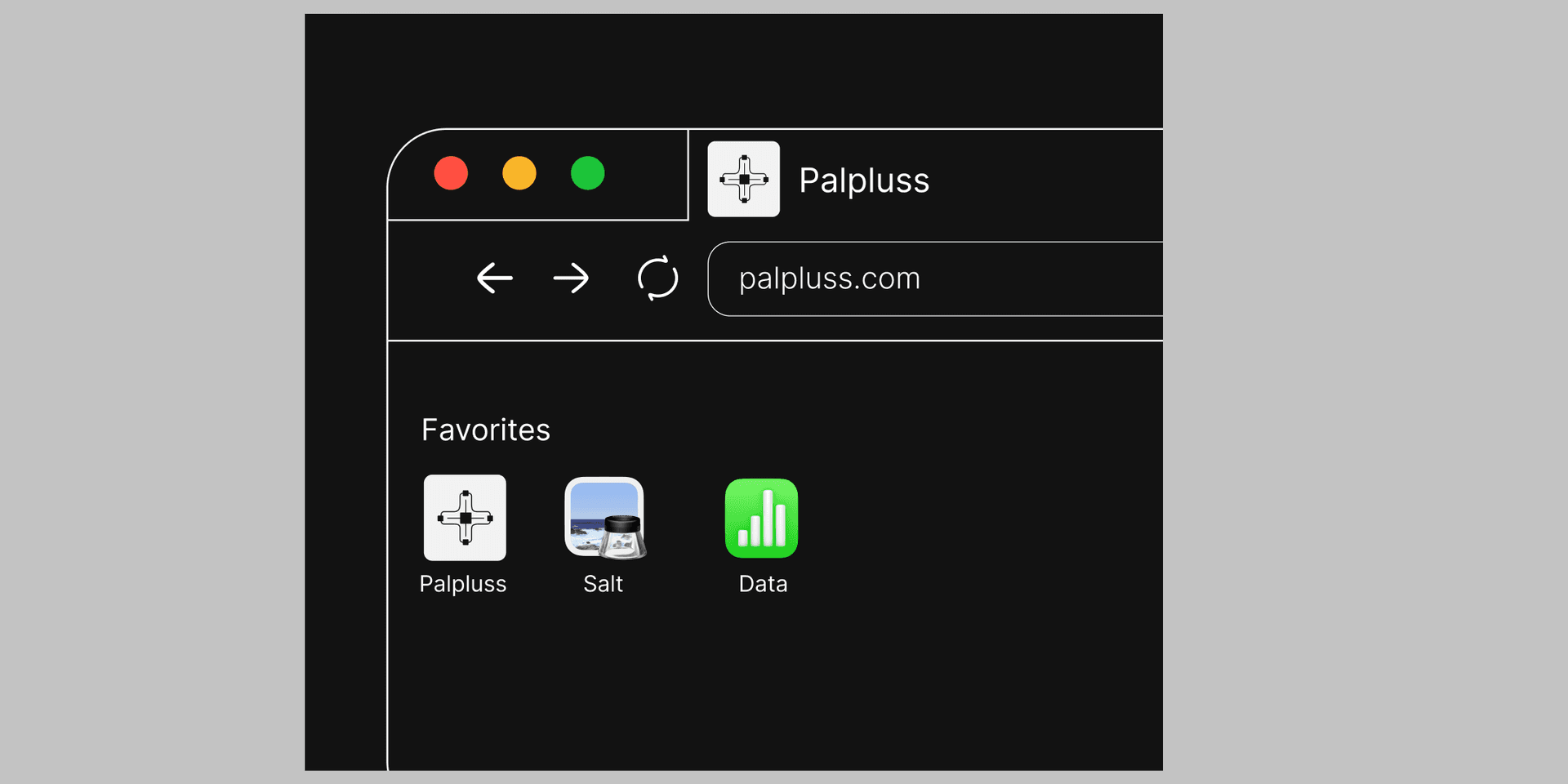 Safari dark-mode mockup of palpluss.com: plus-mark favicon in the tab, address bar, and Palpluss as a Favorites icon beside Salt and Data.